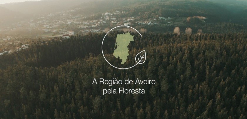 Valorização Florestal - CIRA